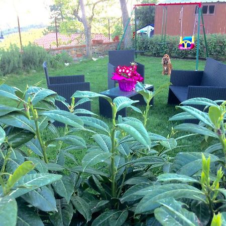 Mansarda Degli Ulivi Apartment Rigomagno Екстериор снимка
