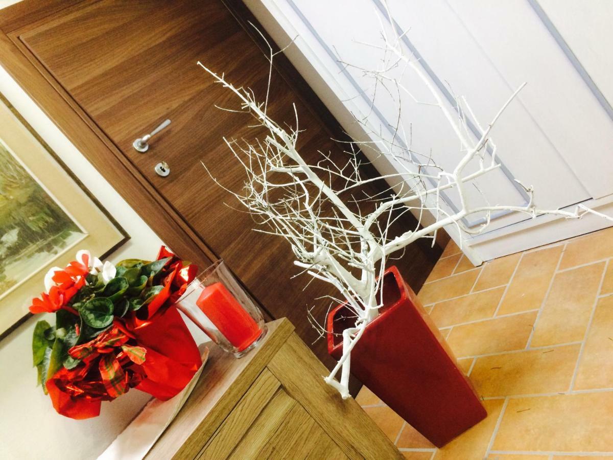 Mansarda Degli Ulivi Apartment Rigomagno Екстериор снимка