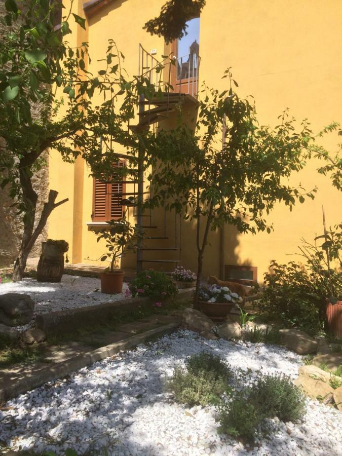 Mansarda Degli Ulivi Apartment Rigomagno Екстериор снимка