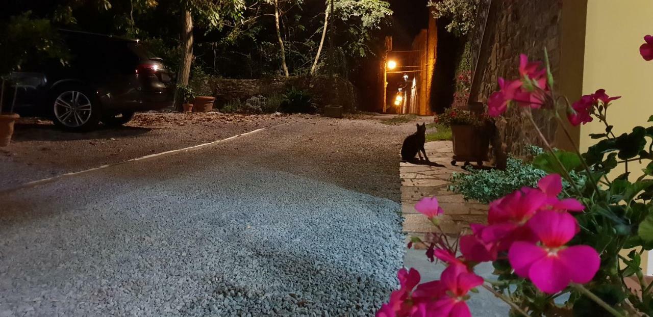 Mansarda Degli Ulivi Apartment Rigomagno Екстериор снимка